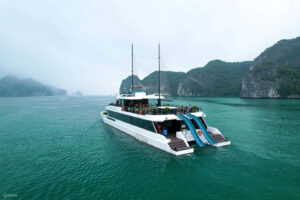 Halong bay day cruise - Catamaran