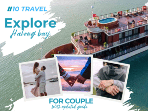 Halong bay day cruise 31/07/2025