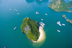 Halong bay day cruise