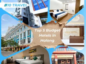 Top 5 Budget Hotels in Halong for Indian Travelers on a One-Day Trip